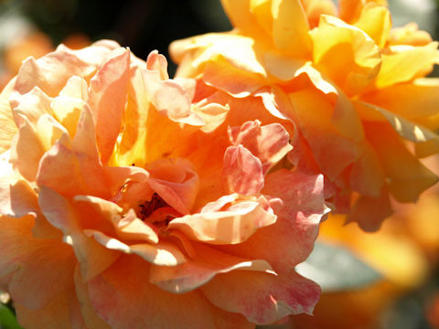 d7e26c8634-2