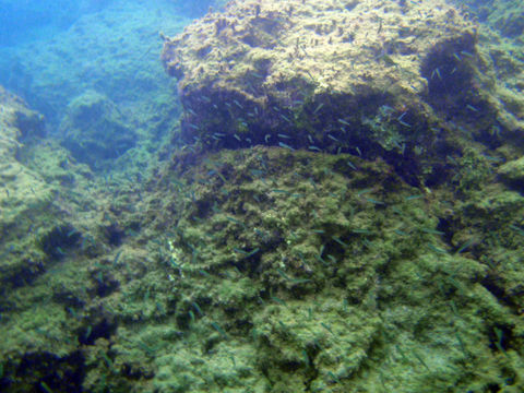 ad3b26775a-2