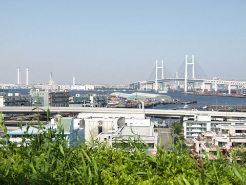 c8797509fa-2