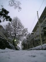 奈良_雪1