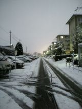 奈良_雪2