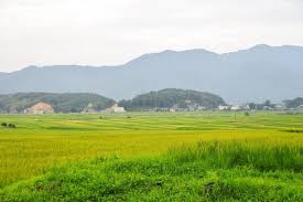 村八分