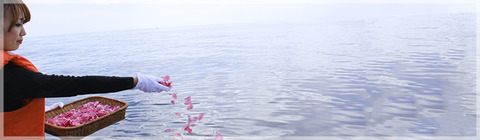 img_note_ocean