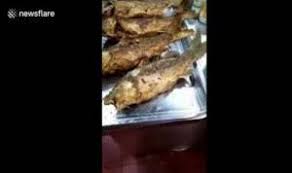 唐揚げの魚が動く中国の至高料理
