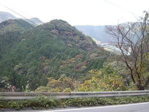 画像 013