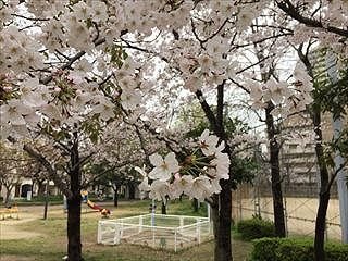 IMG_7418R_