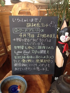 2013-04-05 (10)