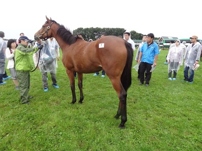 DSC00689_R