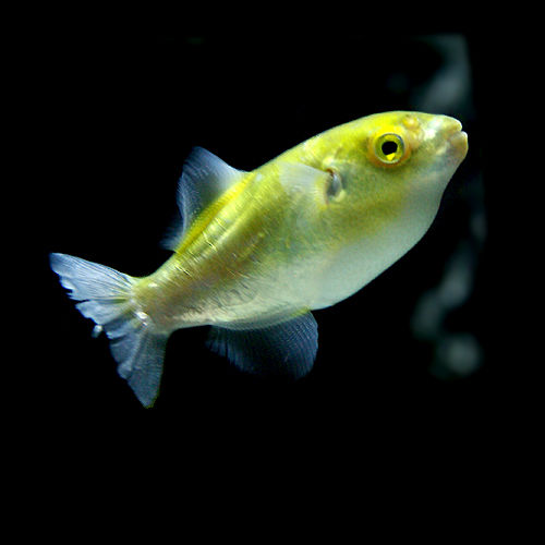 IMGP3207