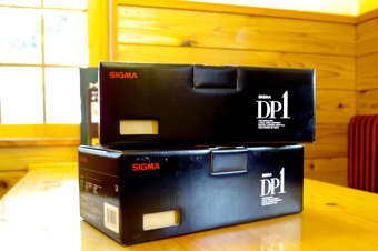 DP-1