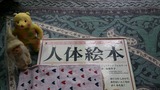 9a86791b.jpg