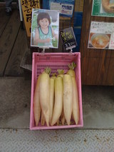 �纬�ȤΤ�