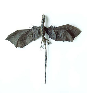 dragon