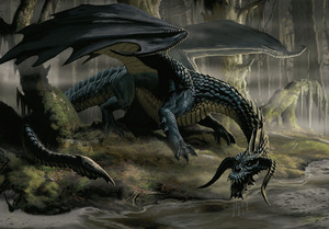 black-dragon-08