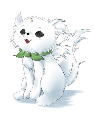 shiro