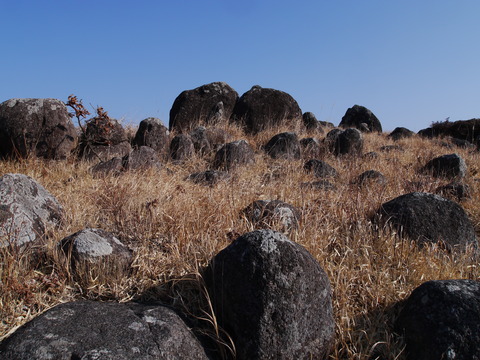 P1070628