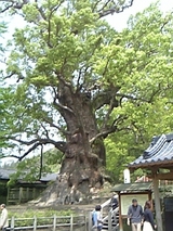 dcbf1cc8.jpg