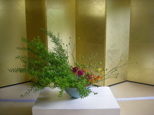 DSCN2430
