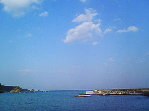 798cde62.jpg