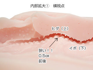 201311-06-10
