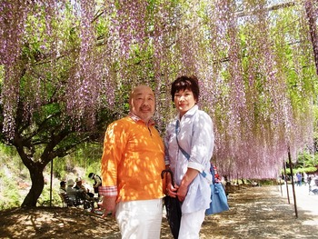 RIMG0091 (2)