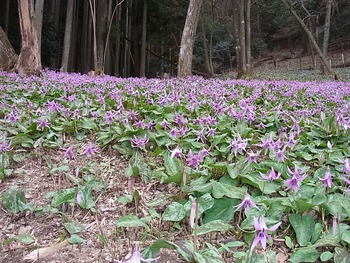 RIMG0586