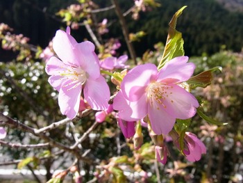 RIMG0059