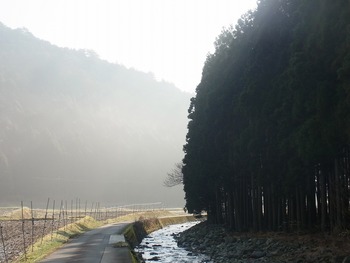 RIMG0056