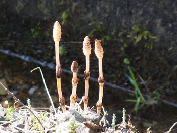 RIMG0058