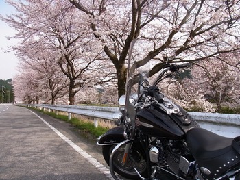 RIMG0070 (3)