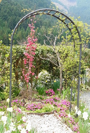 RIMG0079 (3)