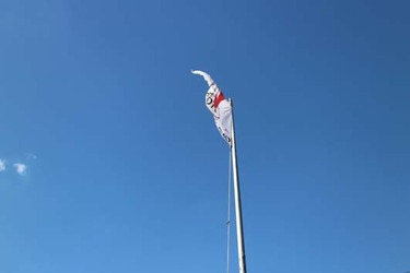 IMG_7831