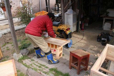 IMG_8334