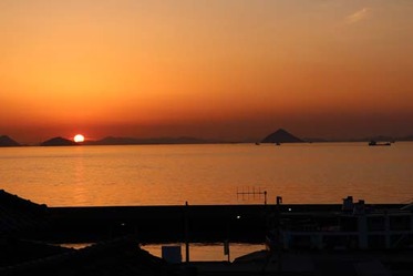 IMG_8327
