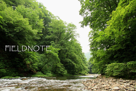 stream