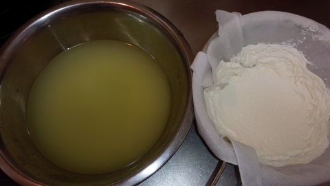 homemade-cottage-cheese-2