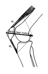resultant-force