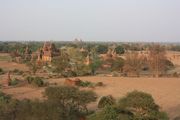 IMG_2595