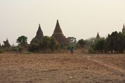 IMG_2581