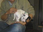 SANY0029