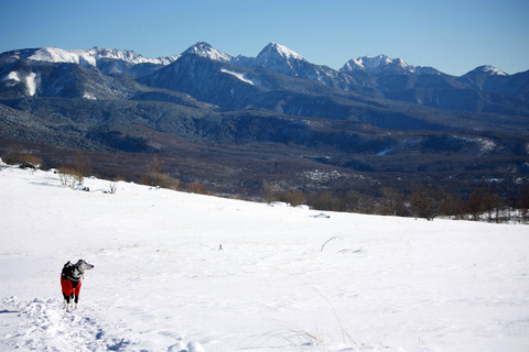 IMG_0326 (1280x853) (2)