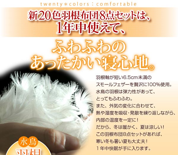 ��������no.15