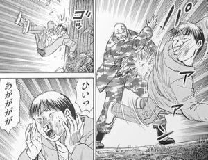 higan48_91a