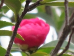 06bca633.jpg