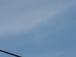 0f5c0555.jpg