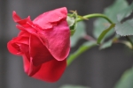 3ed7b186.jpg