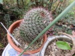 555e6c22.jpg
