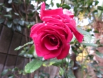 5667d476.jpg