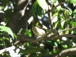 6c0b8050.jpg
