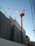 6d90789e.jpg